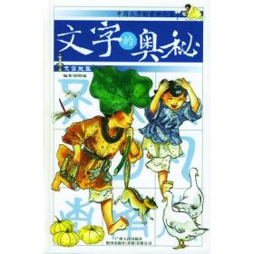 文字的奥秘认识天地ISBN9787219045022广西人民出版社B02