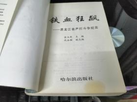 铁血狂飙——黑龙江省严打斗争纪实