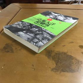 浩瀚大洋是赌场（中）：细说日本海军史