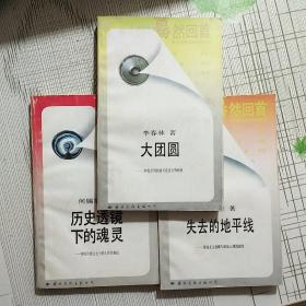 蓦然回首：历史透镜下的灵魂+大团圆+失去的地平线（三册合售）【品相以图为准】