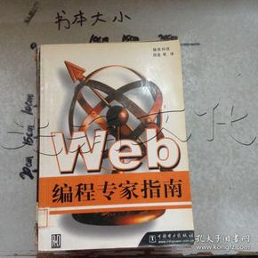 Web 编程专家指南