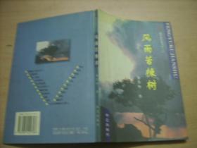 新世纪作家书库（六）风雨苦栋树