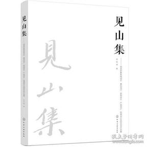 见山集：视觉形象系统设计、徽标设计、招贴设计、产品设计、包装设计及综合设计全案