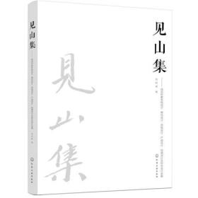 见山集：视觉形象系统设计、徽标设计、招贴设计、产品设计、包装设计及综合设计全案