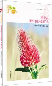 “我的青春我的梦”全国中学生校园美文精品集萃丛书-夏-摇晃在那年夏天的阳光