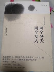 冯积岐作品集：两个冬天，两个女人