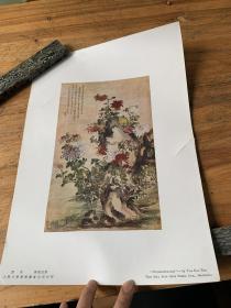 3877E:   民国画片：恽寿平·恽南田画菊，纸张厚实 上海文华美术图书公司