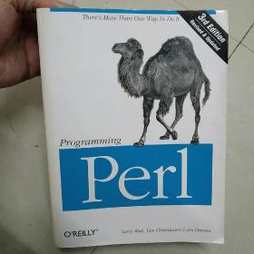 programming perl