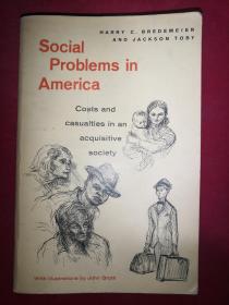 social Problems  in America  美国的社会问题