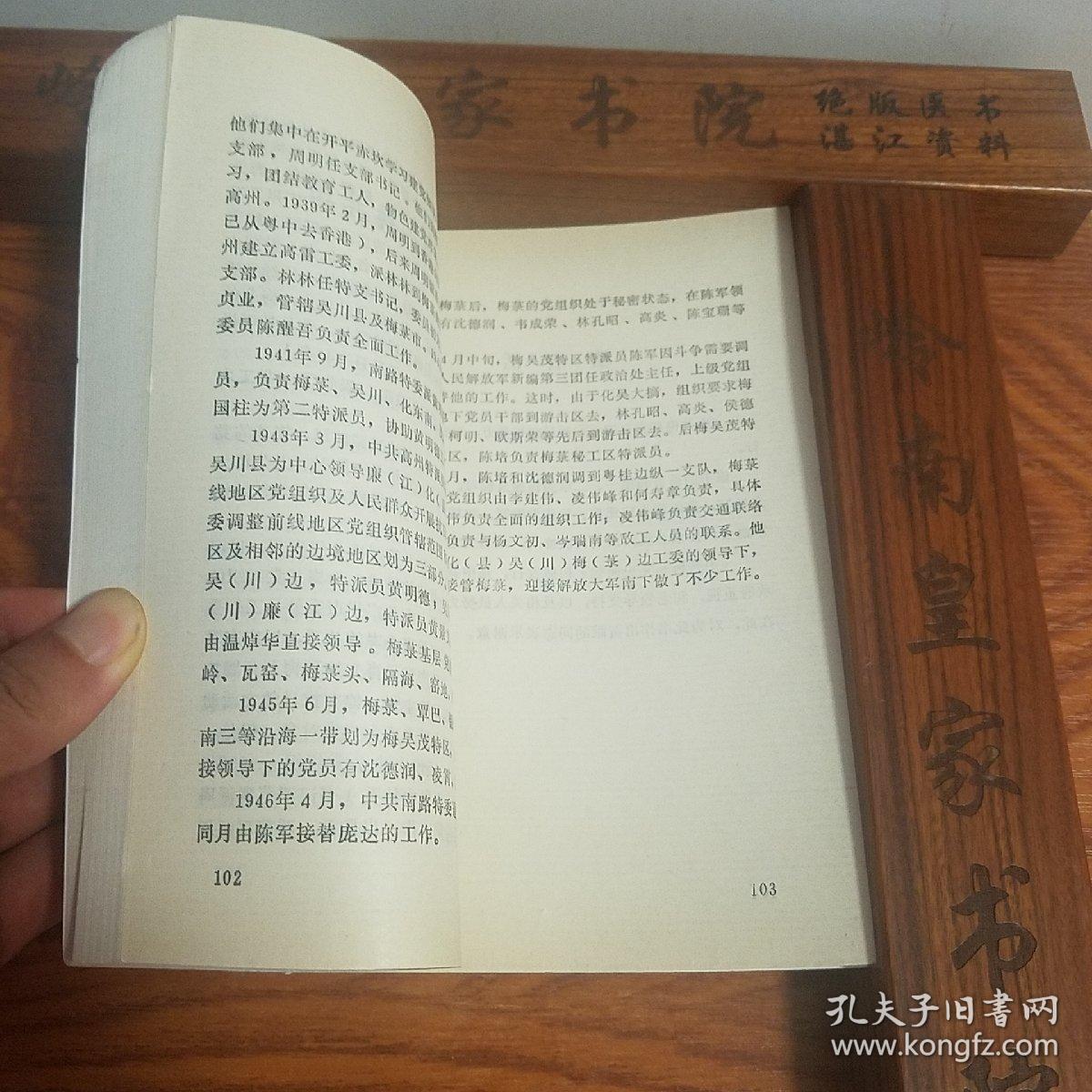中共梅菉党史  广州湾 湛江 吴川.抗日.国内革命战争.南路.平民学校.黄明德.南声日报.陈军.陈培.