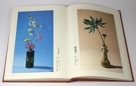 煎茶之茶花 煎茶的茶花/海野彰堂/1980年/主妇之友社/215页/  带盒套 品好 包邮