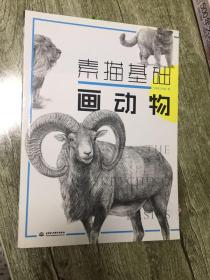 （请看描述）正版假一罚十 素描基础画动物