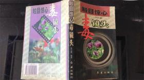 触目惊心毒镜头