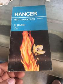 HANCER ISIL OZGENTURK  陆境明签