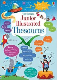 儿童英英词典工具书 Usborne同义同类词词典  Illustrated Thesaurus 彩色插图