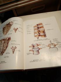 人体解剖彩色图谱（16开硬精装）