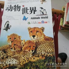 动物世界