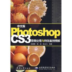 (中文版)PhotoshopCS3图像处理与特效案例精解(含DVD)