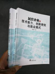 民营企业的技术能力、创新绩效与商业模式（正版新书）