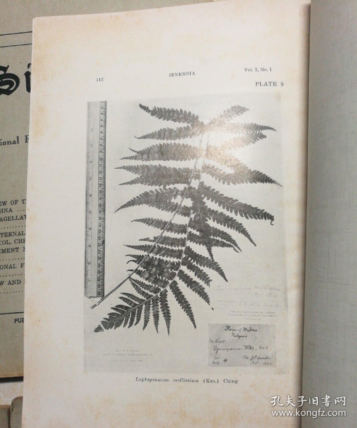 国立北平研究院动植物研究所丛刊（第七卷、第一、二、三、四、五期）共5册