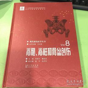 脊髓、脊柱和骨盆创伤/现代创伤医学丛书