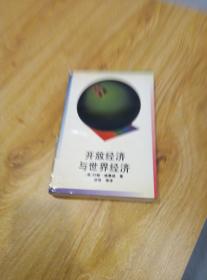 開(kāi)放經(jīng)濟(jì)與世界經(jīng)濟(jì)