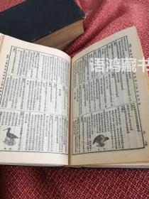 民国版《辞源》戊种（上下两册全）1935年商务印书馆（一版） 国难后25印 皮革烫金硬精装