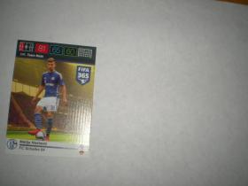 帕尼尼 panini 游戏版 球星卡 FIFA365 2015-16  沙尔克04   纳斯塔西奇