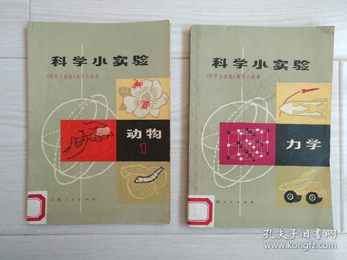 科学小实验 动物 力学