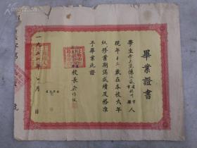 1952年上海市虹口区新广路小学毕业证书，学生曹美丽，江苏扬州人