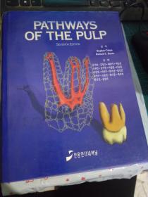 pathways  of the pulp