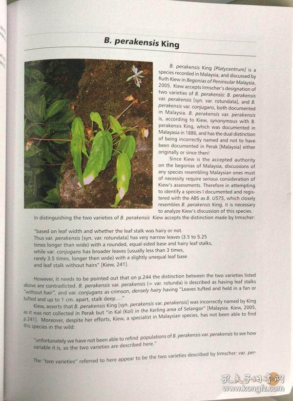 Species Begonias of the Eastern Himalayas of Arunachal , India 印度藏南地区东喜马拉雅山秋海棠 英文原版