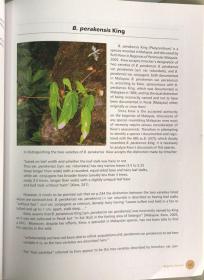 Species Begonias of the Eastern Himalayas of Arunachal , India 印度藏南地区东喜马拉雅山秋海棠 英文原版