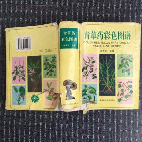 青草药彩色图谱 （形态 采集 药理 功用 方选等）