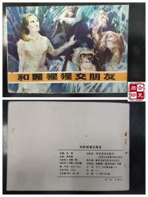和黑猩猩交朋友