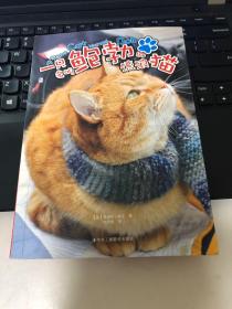 一只名叫鲍勃的流浪猫（升级版）