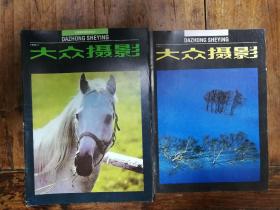 55期刊：大众摄影（1990年十1993年第二期）90年缺第5期