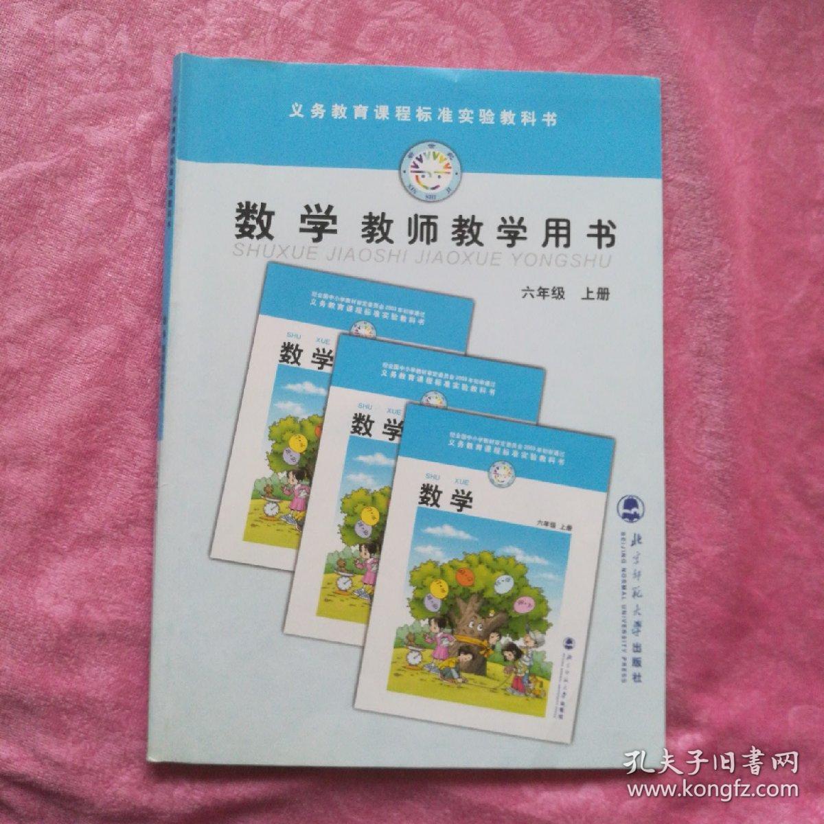 义务教育课程标准实验教科书数学教师教学用书六年级(上册)