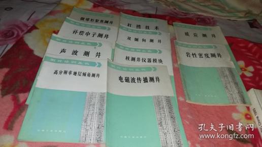测井培训丛书： 电磁波传播测井