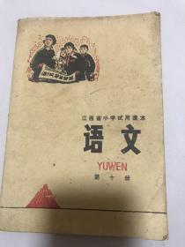 语文第10册。江西省小学试用课本。未使用过。