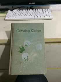 GROWING COTTON（棉花生长）精装英文版