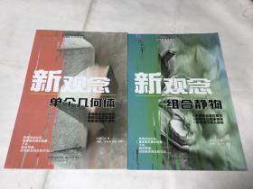 你一定能上大学 入门新观念系列：（新观念 组合静物，新观念 单个几何体）两本合售