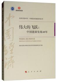 中浦院书系·案例系列：伟大的飞跃·中国能源发展40年