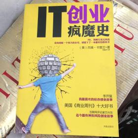 IT创业疯魔史