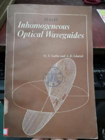 Inhomogeneous optical waveguides（货号：H149）