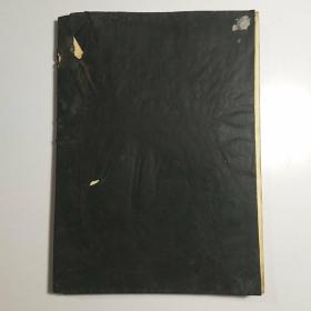 儿科学讲义（医学教育革命探索教材）