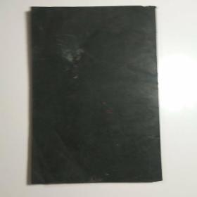 儿科学讲义（医学教育革命探索教材）