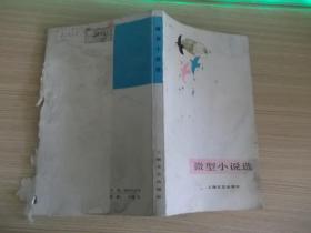 微型小说选 169