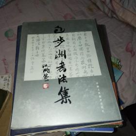 包步洲书法集