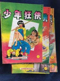 经典漫画收藏 长篇系列 少年狂侠 第四集 全5册 常